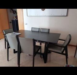 The Lincoln Residences (D11), Condominium #587980761
